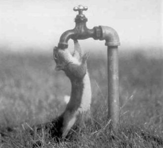 Книга для тех, кто делает слишком много - i_090.jpg