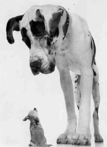 Книга для тех, кто делает слишком много - i_091.jpg