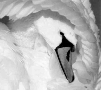 Книга для тех, кто делает слишком много - i_092.jpg