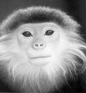 Книга для тех, кто делает слишком много - i_093.jpg