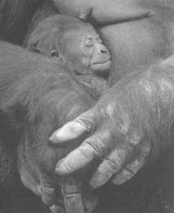 Книга для тех, кто делает слишком много - i_094.jpg