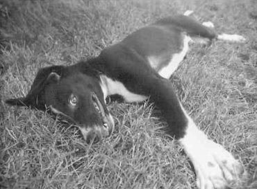 Книга для тех, кто делает слишком много - i_095.jpg