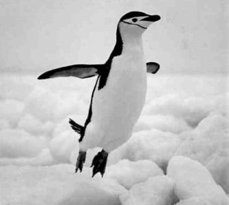 Книга для тех, кто делает слишком много - i_096.jpg