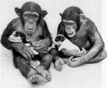 Книга для тех, кто делает слишком много - i_098.jpg