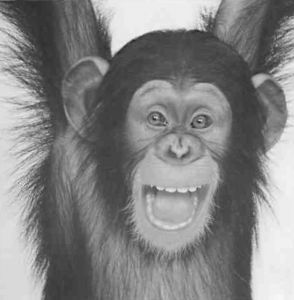 Книга для тех, кто делает слишком много - i_103.jpg