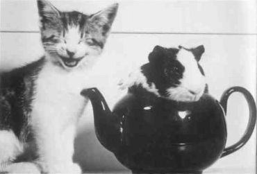 Книга для тех, кто делает слишком много - i_105.jpg