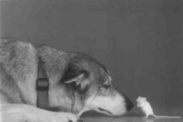 Книга для тех, кто делает слишком много - i_110.jpg