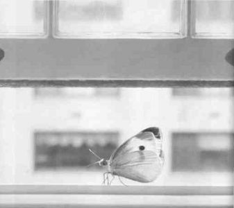 Книга для тех, кто делает слишком много - i_111.jpg