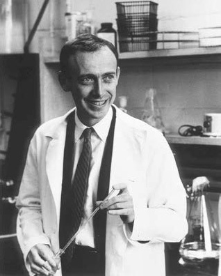 Всеобщая история. XX – начало XXI века. 11 класс. Базовый уровень - i_106.jpg