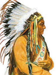 Всеобщая история. История Нового времени. 8 класс - i_117.jpg