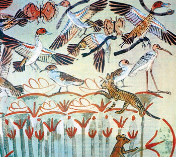 Всеобщая история. История Древнего мира. 5 класс - i_032.jpg