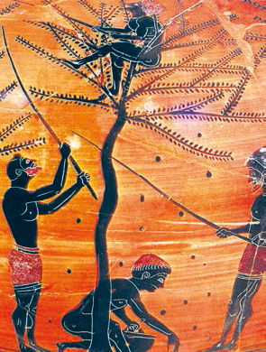 Всеобщая история. История Древнего мира. 5 класс - i_131.jpg