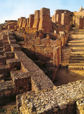 Всеобщая история. История Древнего мира. 5 класс - i_231.jpg