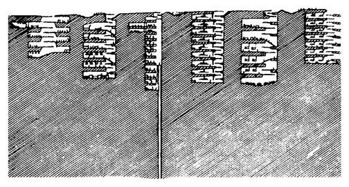 Планиверсум. Виртуальный контакт с двухмерным миром - img_038.jpg