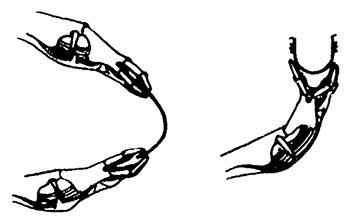 Планиверсум. Виртуальный контакт с двухмерным миром - img_072.jpg