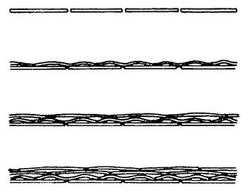 Планиверсум. Виртуальный контакт с двухмерным миром - img_073.jpg