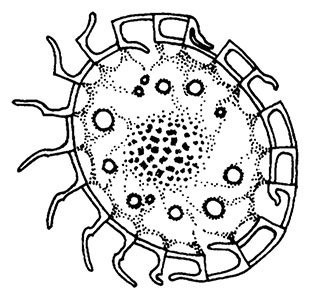Планиверсум. Виртуальный контакт с двухмерным миром - img_112.jpg