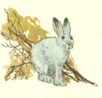 А это мы! - _43.jpg