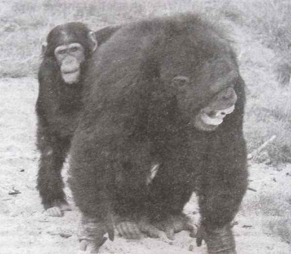 Мудрость Востока и Запада. Психология равновесия - i_005.jpg