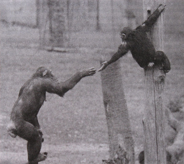 Мудрость Востока и Запада. Психология равновесия - i_006.jpg