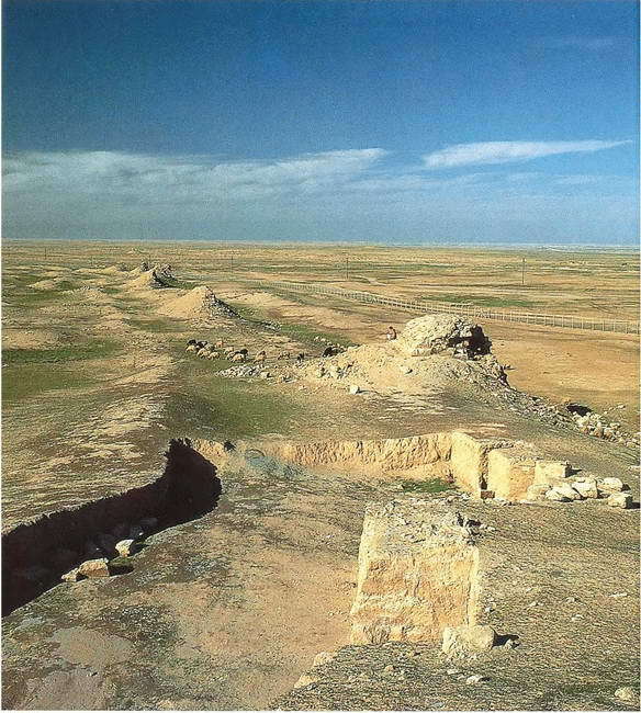 Искусство осады. Знаменитые штурмы и осады Античности - i_150.jpg