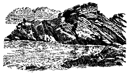 Грот афалины (илл. В. Барибы) - pic_19.png