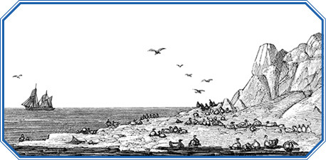 Путешествие по Сибири и Ледовитому морю (с илл.) - i_074.jpg