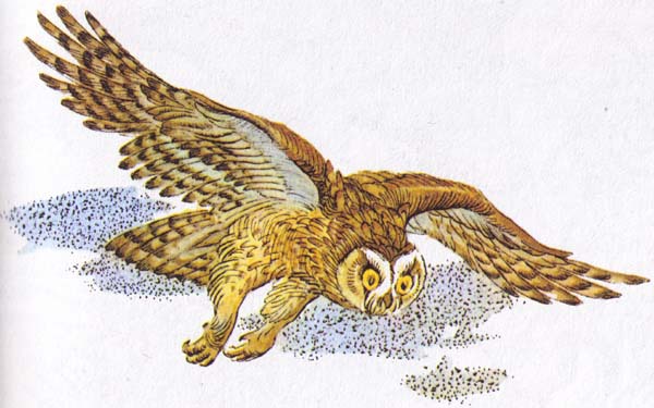 Бемби (с илл.) - i_014.jpg