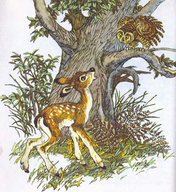 Бемби (с илл.) - i_015.jpg