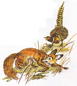 Бемби (с илл.) - i_025.jpg