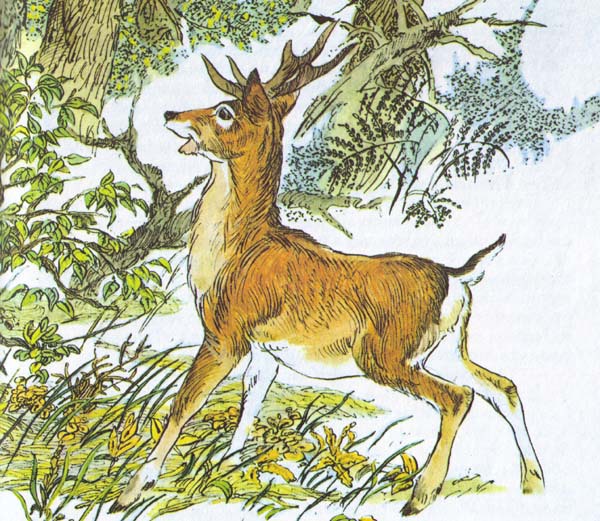 Бемби (с илл.) - i_032.jpg