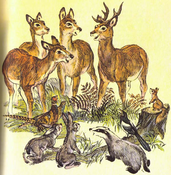 Бемби (с илл.) - i_034.jpg