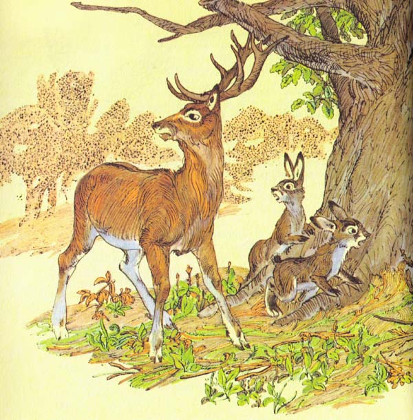 Бемби (с илл.) - i_036.jpg