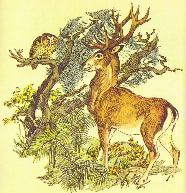 Бемби (с илл.) - i_041.jpg