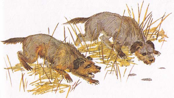 Бемби (с илл.) - i_042.jpg