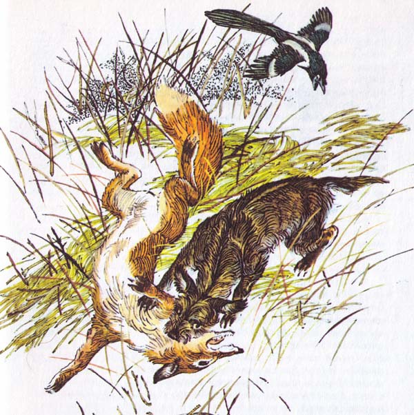 Бемби (с илл.) - i_043.jpg