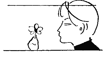 Солнце заходит в Дономаге - pic_14.png