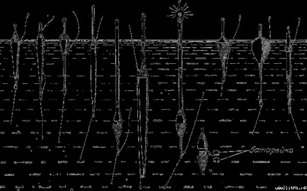 Какой поплавок «уловистее»? - i_010.jpg