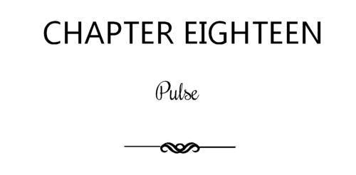 Pulse - _41.jpg