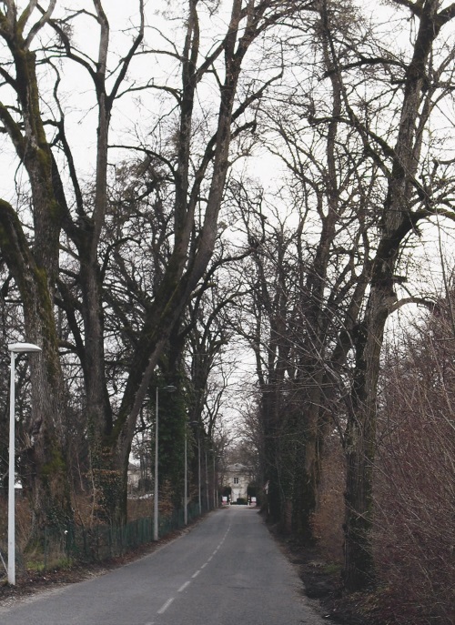 Прекрасная Франция - i_113.jpg