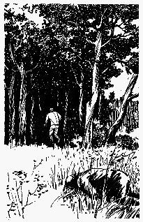 Знайти і затримати - pic_1.png