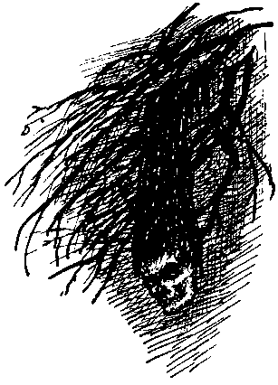 Другая сторона - i_038.png