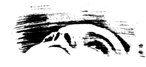 Отель «У Погибшего Альпиниста» (Дело об убийстве) - pic_14.png