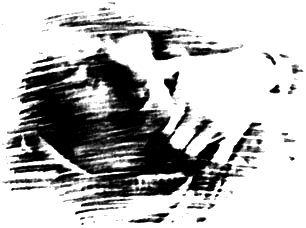 Отель «У Погибшего Альпиниста» (Дело об убийстве) - pic_9.png