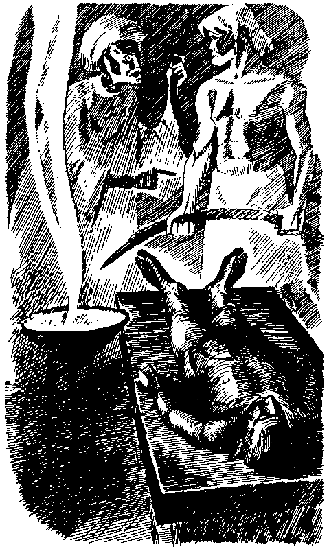 Экипаж «Меконга» (илл. И. Сакурова) - pic_20.png