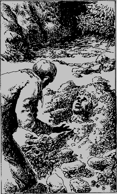 Худей! (др. перевод) - i_007.png