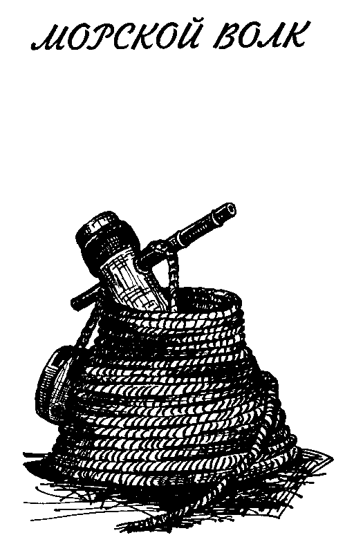 Морской волк (сборник) - pic_4.png
