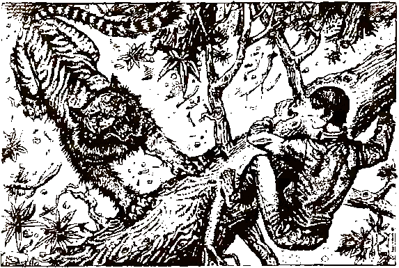 Хозяева джунглей. Рассказы о тиграх и слонах - i_004.png