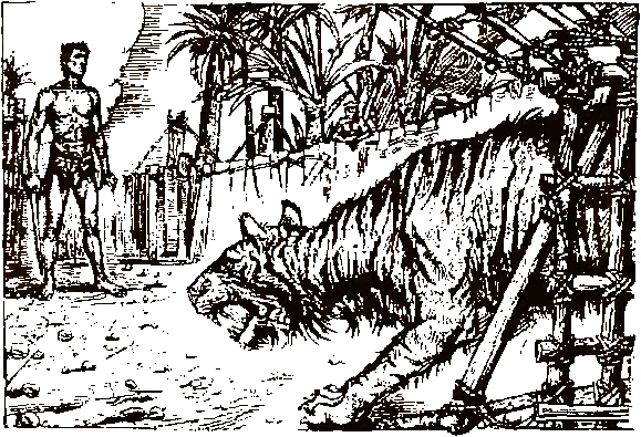 Хозяева джунглей. Рассказы о тиграх и слонах - i_008.png