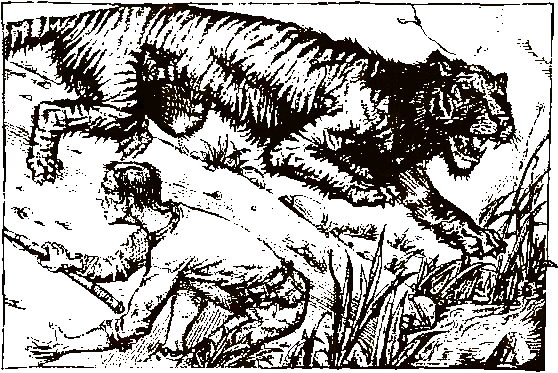 Хозяева джунглей. Рассказы о тиграх и слонах - i_010.png